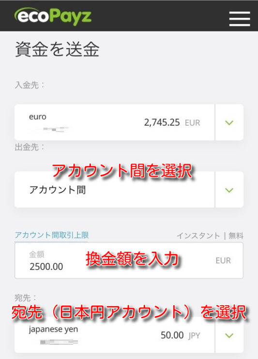 ecopayz money transfer2