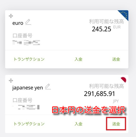 ecopayz money transfer9