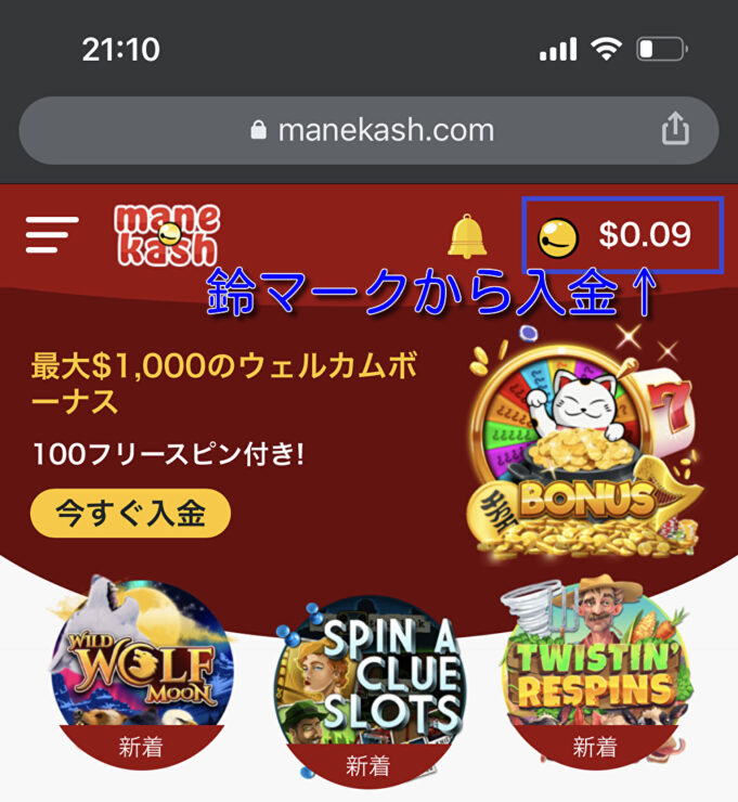 manekash-banktransfer1