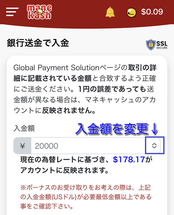 manekash-banktransfer4