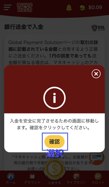 manekash-banktransfer8